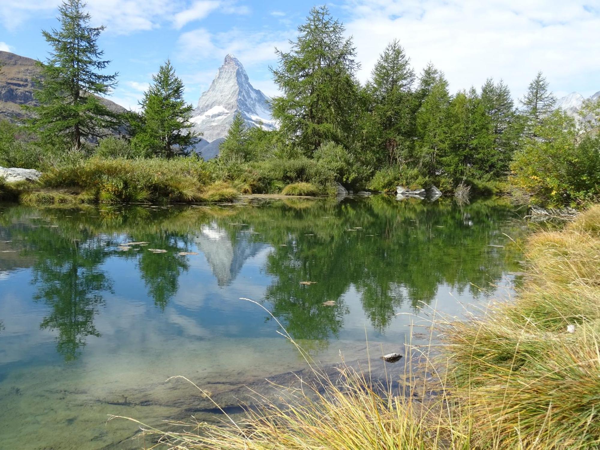 Hotel Phoenix Zermatt Eksteriør billede