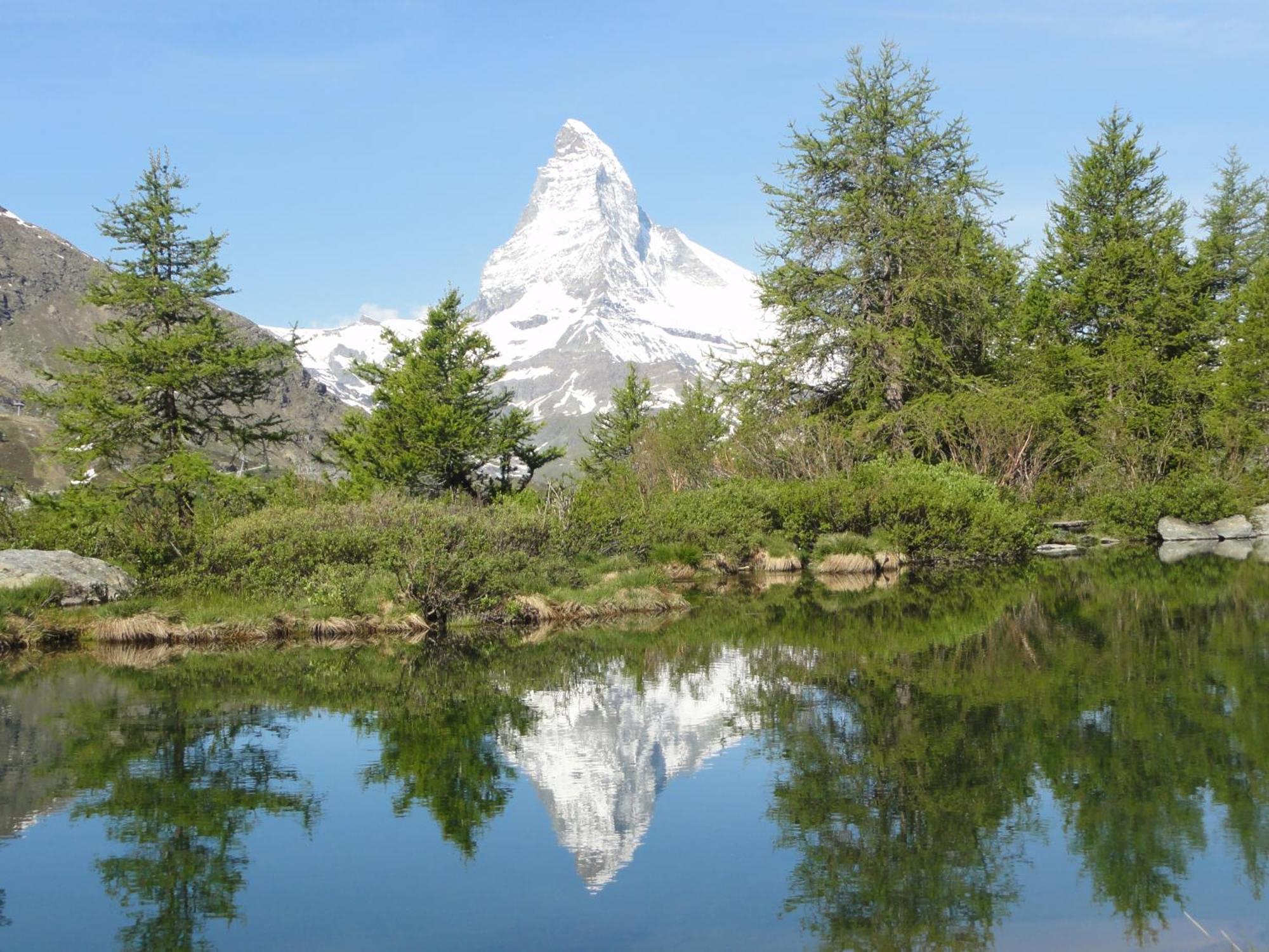 Hotel Phoenix Zermatt Eksteriør billede